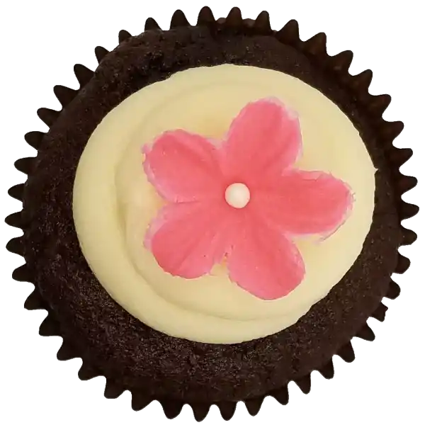 Top view of Chocolate Vanilla cupcake