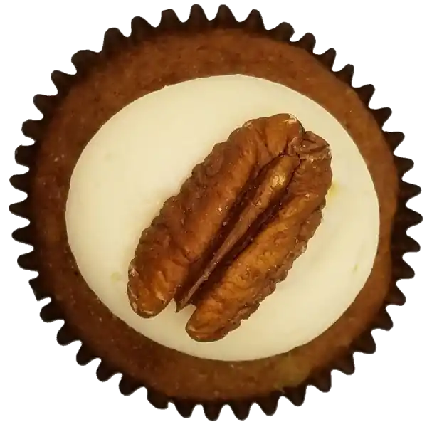 Top view of Humming Bird cupcake