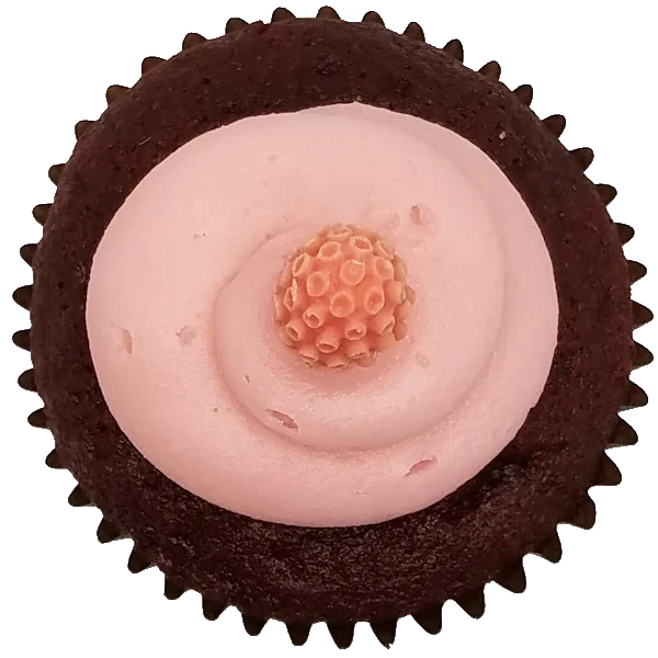 Top view of Red Velvet Raspberry cupcake